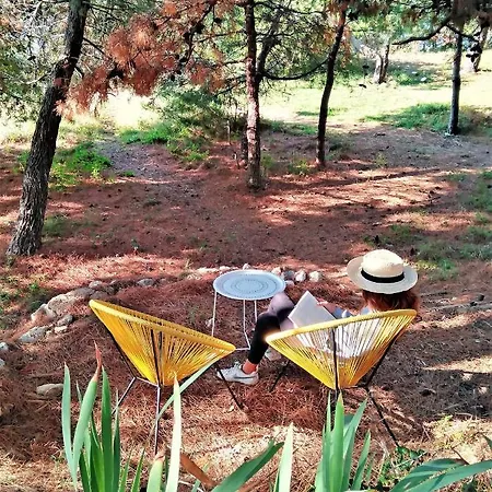 Apartment Maramare