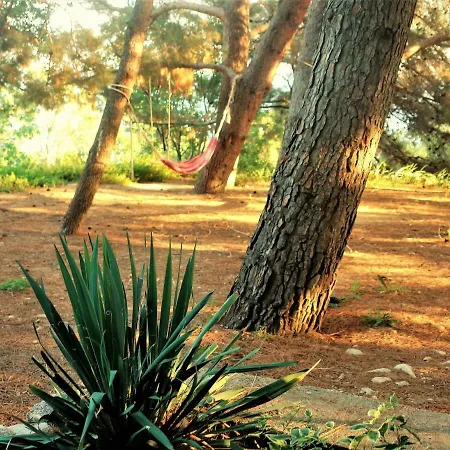 Appartement Maramare