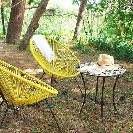 Apartman Maramare