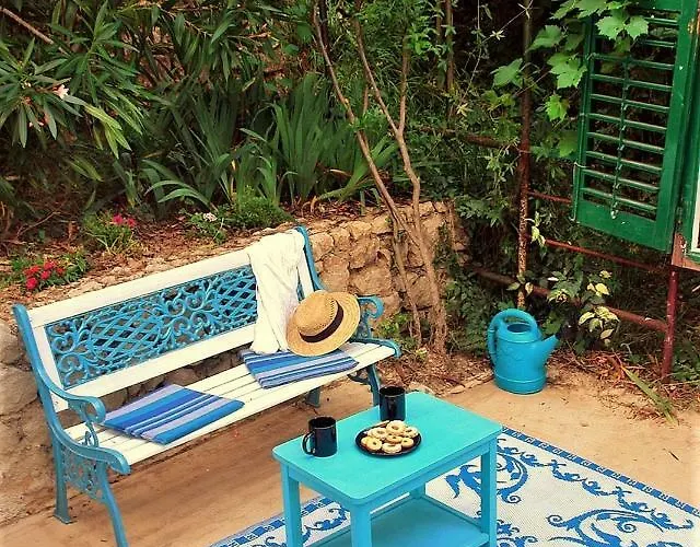 Apartment Maramare *