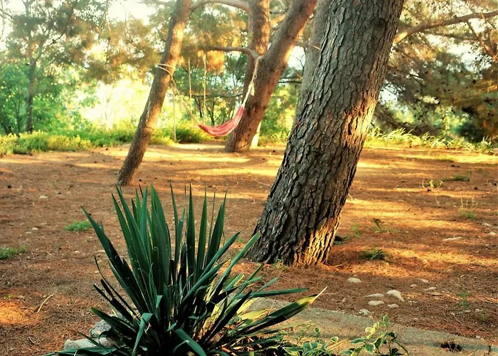 Appartamento Maramare